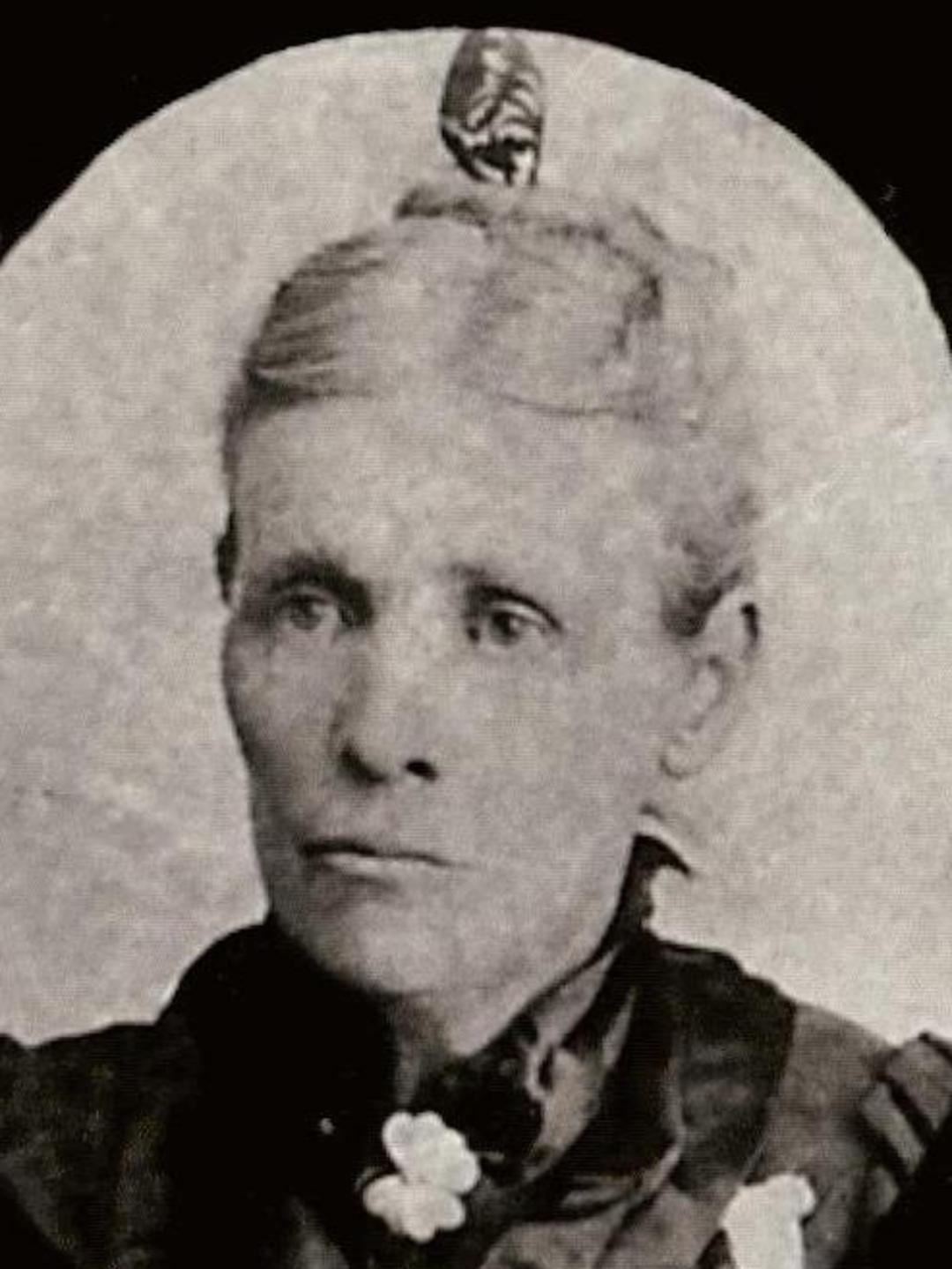 Agnes McFarland (1848 - 1917) Profile